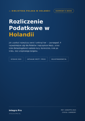 Rozliczenie podatkowe w Holadii - kompletny poradnik